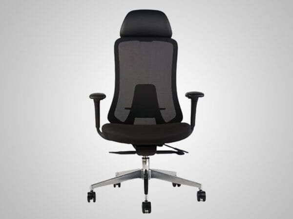 Fido Elite Chair