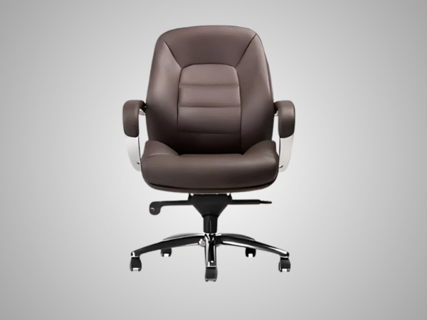 Premium Chair - Image 3