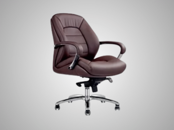 Premium Chair - Image 2
